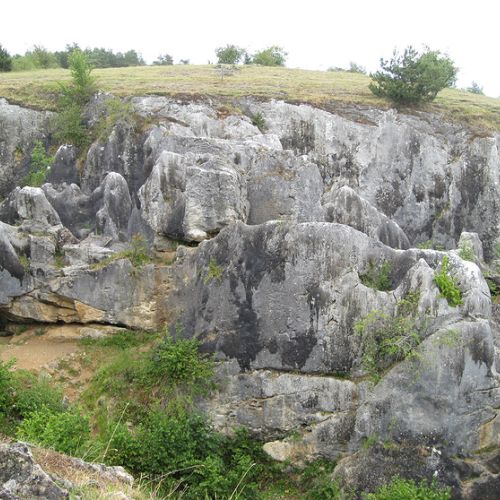 Le Fondry des chiens (Nismes)